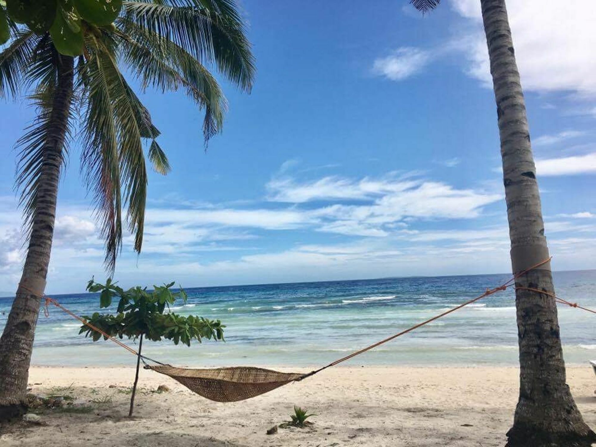 The Whitehouse By The Sea Vila Panglao City Exterior foto
